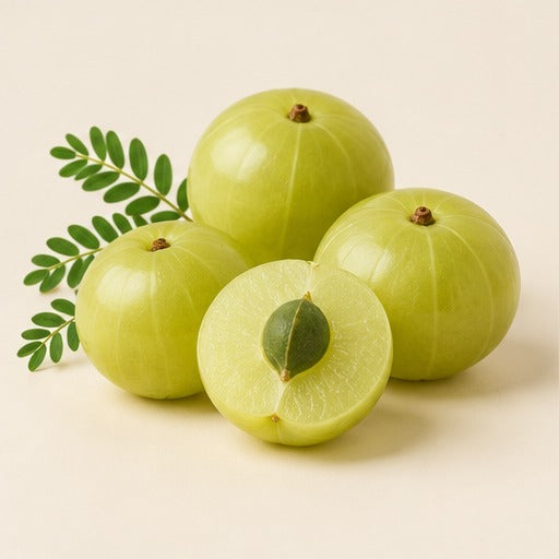 Amla fruits and foliage on a warm ivory studio background