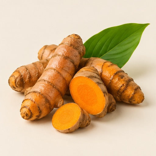 Haridra turmeric rhizomes and leaf on a warm ivory studio background
